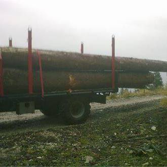 Trasporto legname
